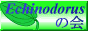 Echinodorus̉